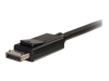 Bild på C2G 3ft DisplayPort to HDMI Cable